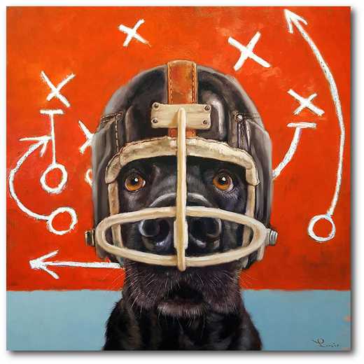 WEB-TS135-16x16: Dog in Football Helmet, 16x16